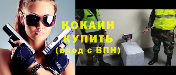 apvp Инсар