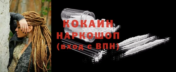 apvp Инсар