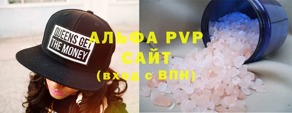 spice Инта