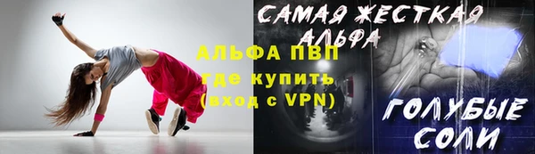apvp Инсар