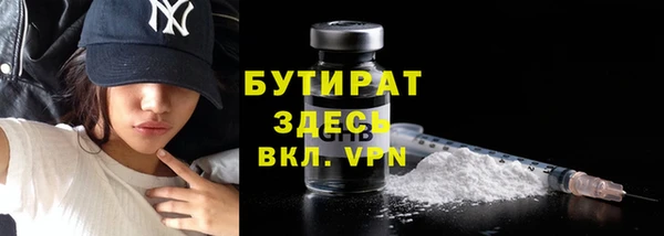 spice Инта