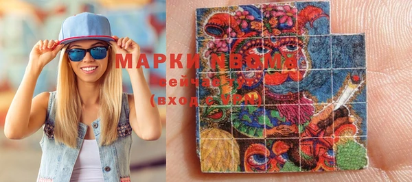 apvp Инсар