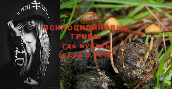 apvp Инсар