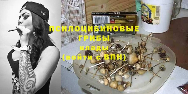 apvp Инсар