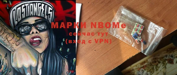 spice Инта