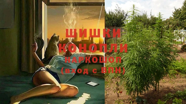 spice Инта