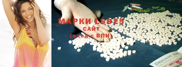 apvp Инсар
