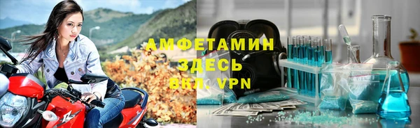 apvp Инсар