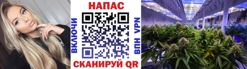 Купить закладки  Кодинск  Канабис конопля 